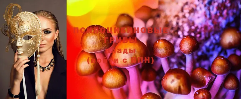 Галлюциногенные грибы Psilocybine cubensis  Алдан 